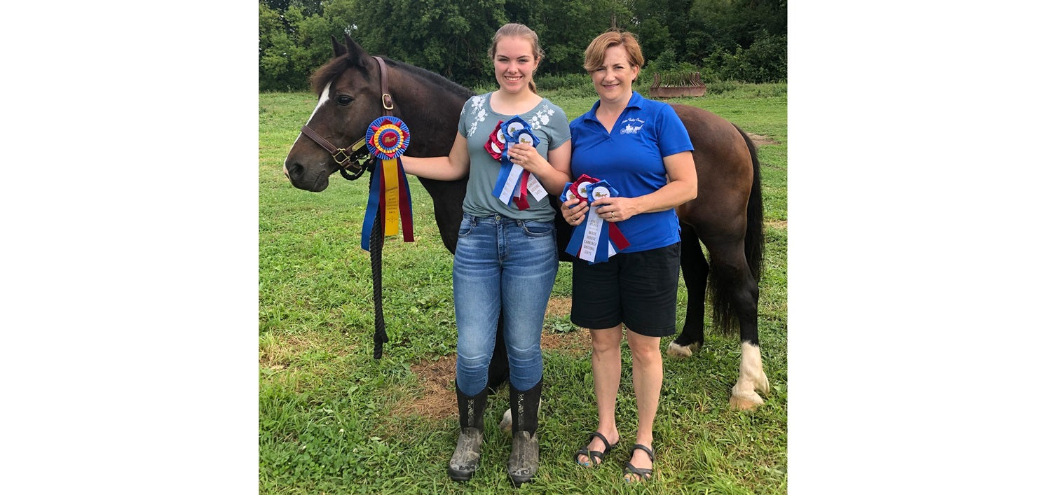 Can You Drive Your Horse in Sandals?