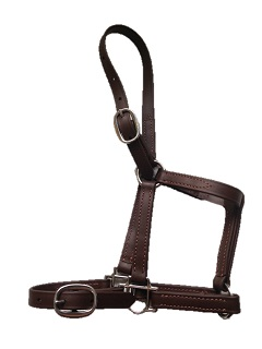 Pony Mini Nose Buckle Beta Halter | IVC Carriage