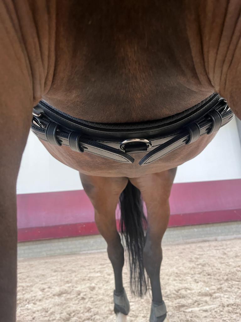 Ideal Leather Lunging & Training Roller on horse - girth view