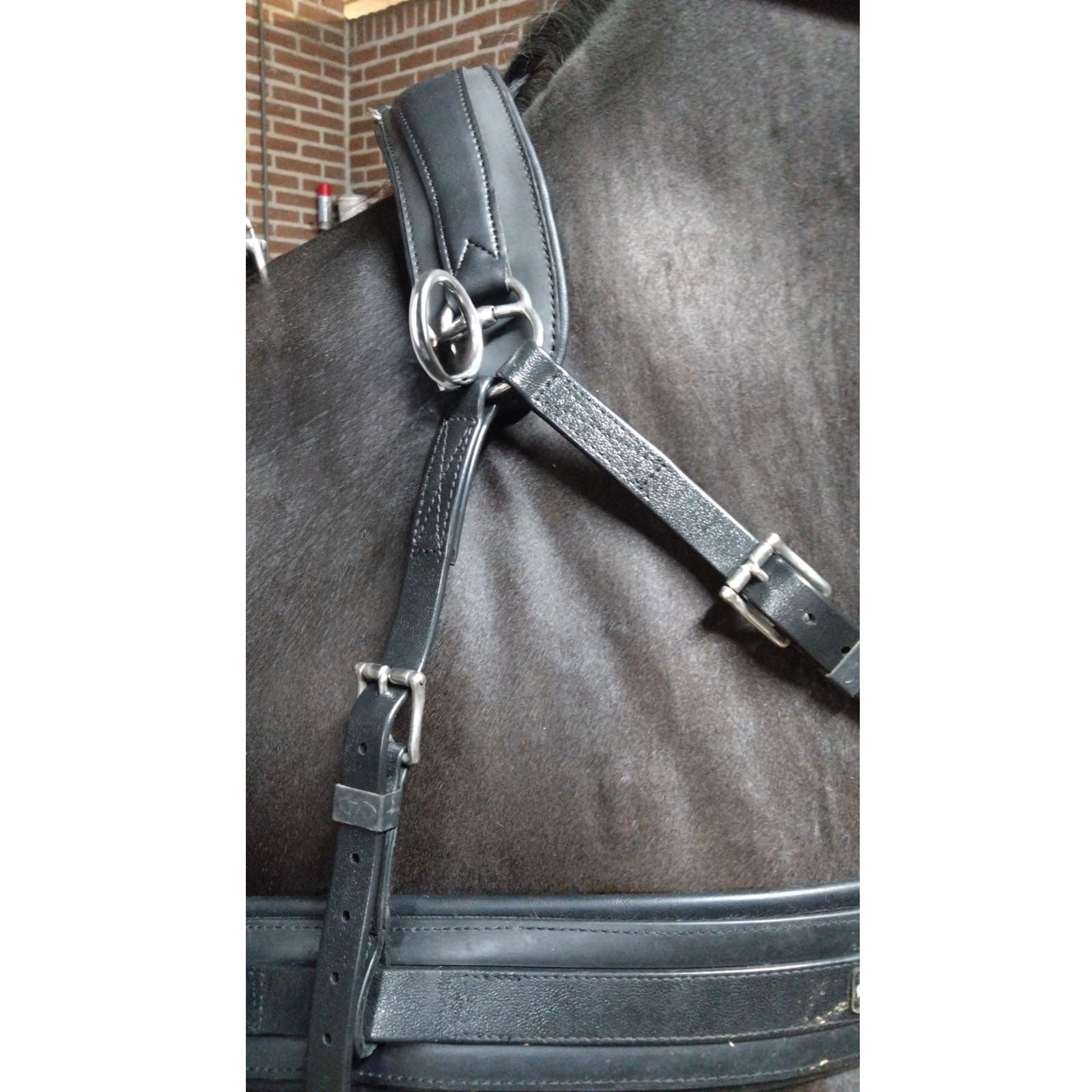 Zilco Wither Riser Neck Strap | IVC Carriage