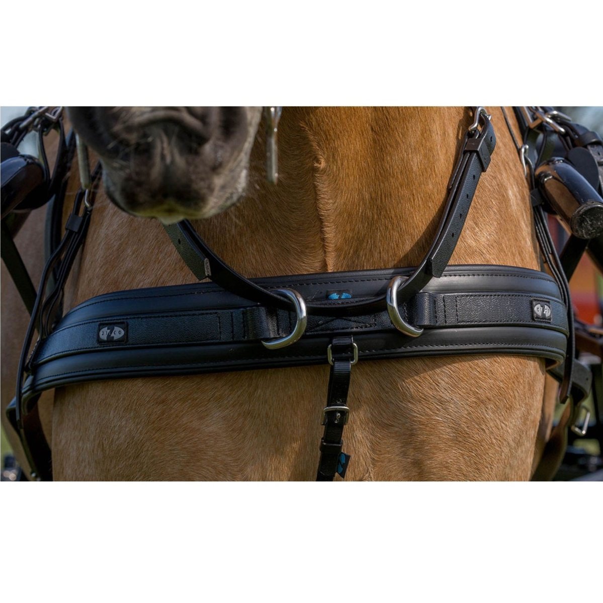 Zilco SL Plus Single Harness