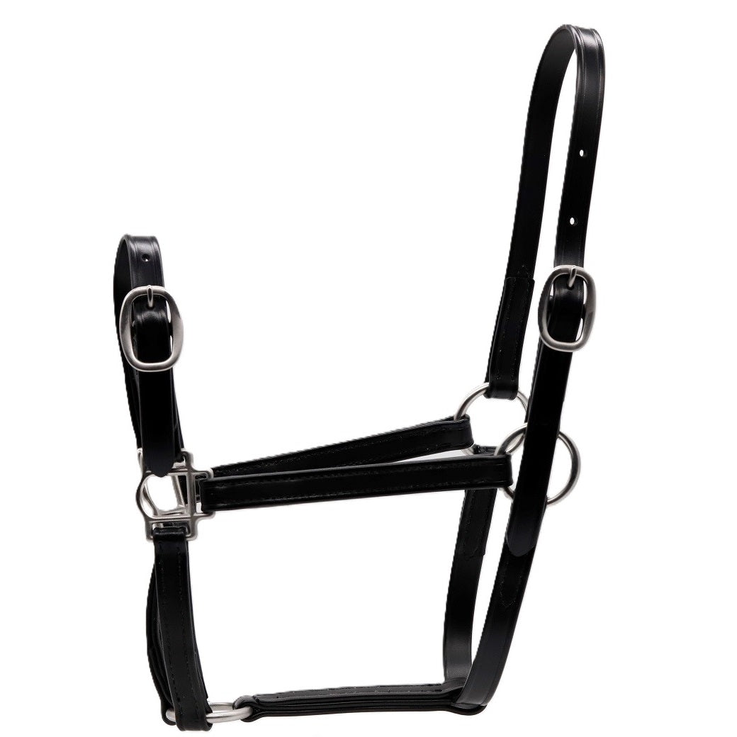 BioThane Nose Buckle Halter Black | IVC Carriage