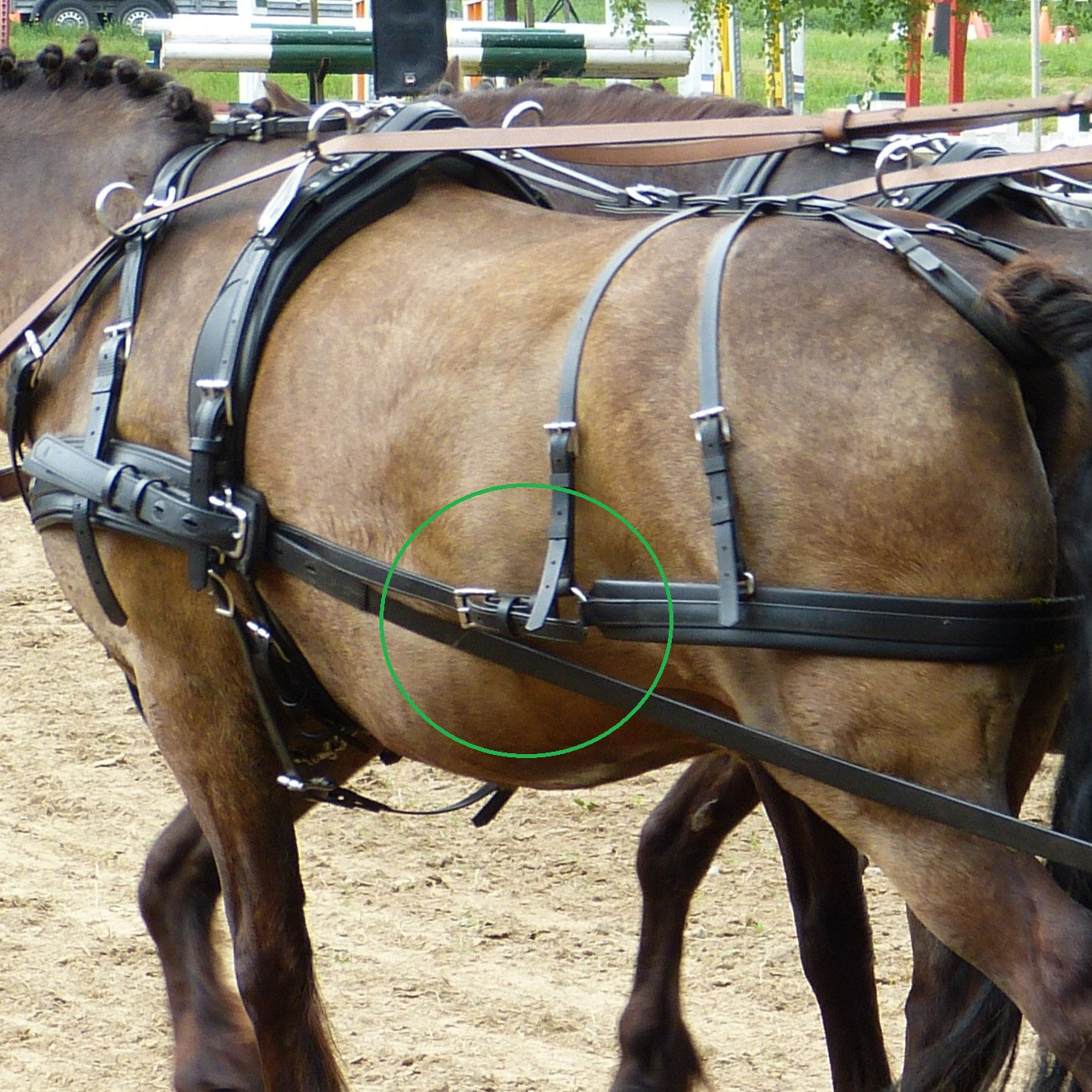 Pair Breeching Strap Attachments