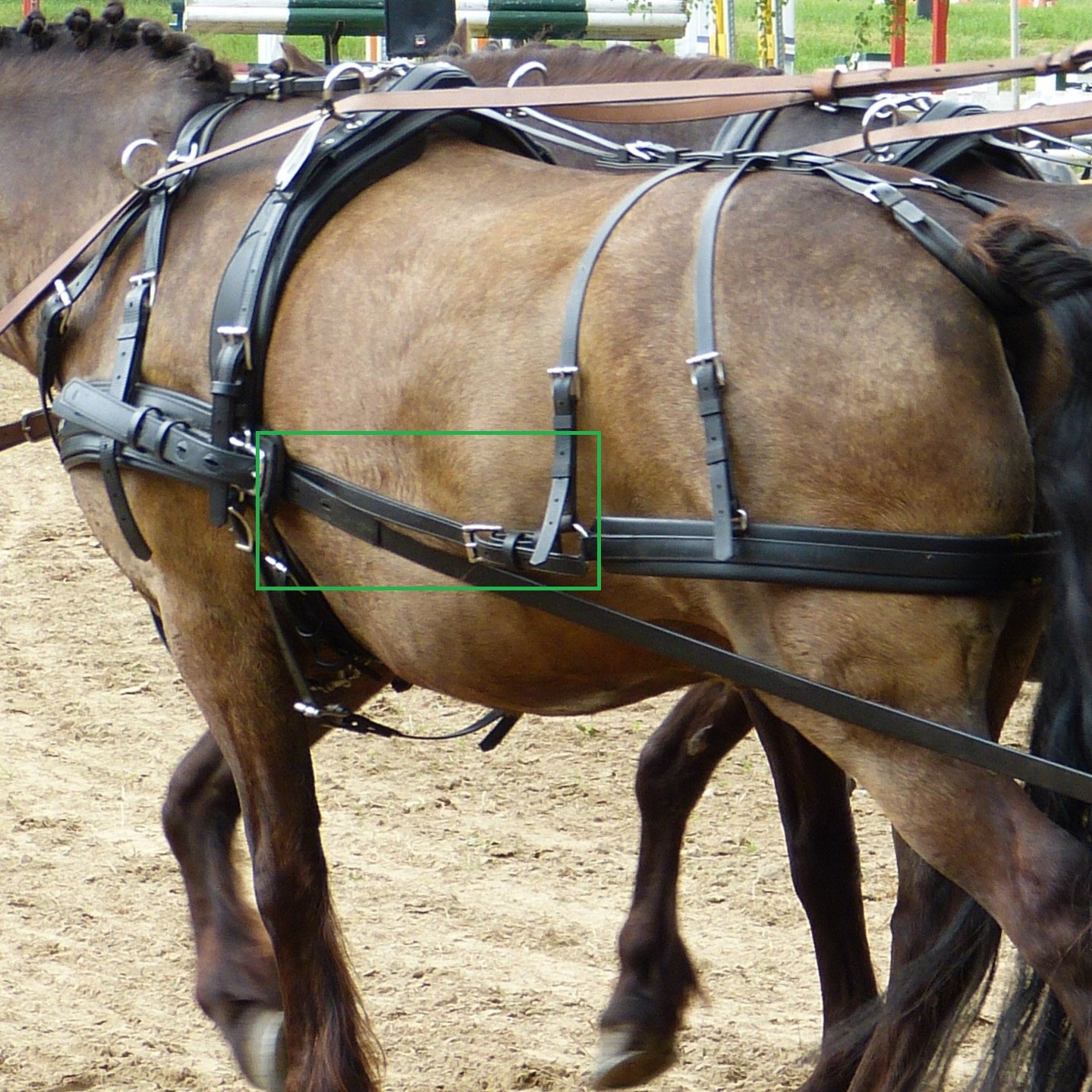 Zilco Horse Pair Breeching Straps