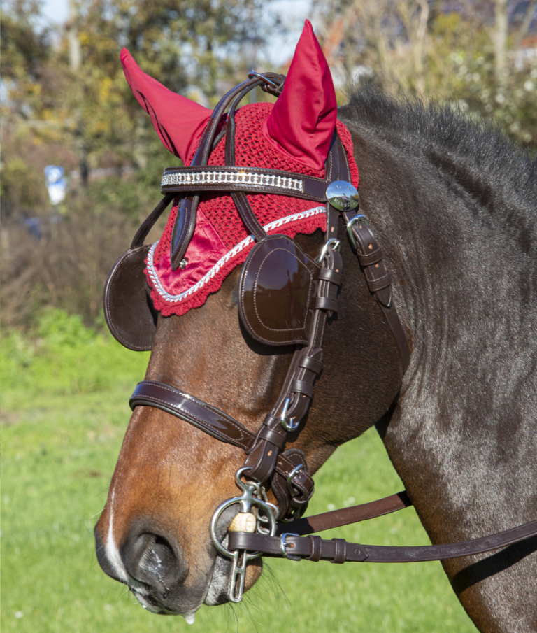 Ideal Bling Leather Browband on Australian nut bridle 