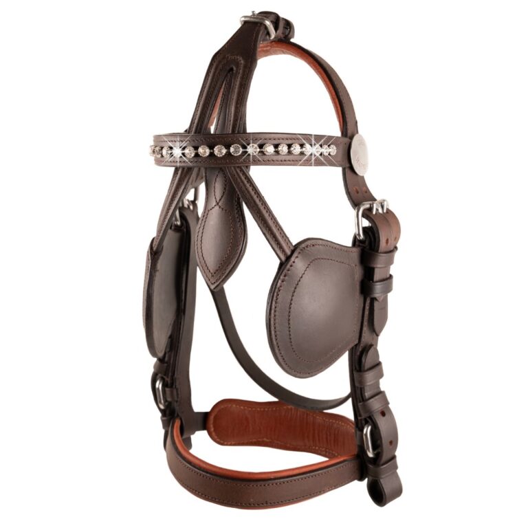 Ideal Dazzle Straight Leather Browband on Havana brown bridle