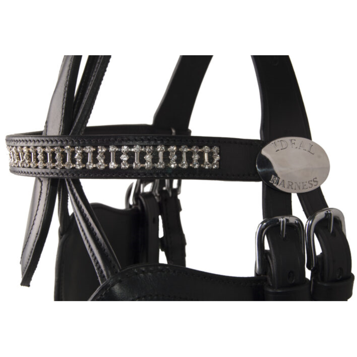 Ideal Bling Leather Browband on black bridle