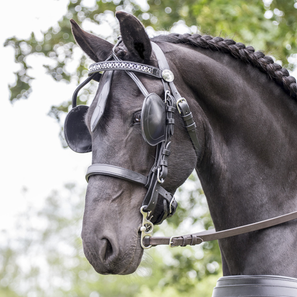 Ideal Luxe Complete Bridle on black horse