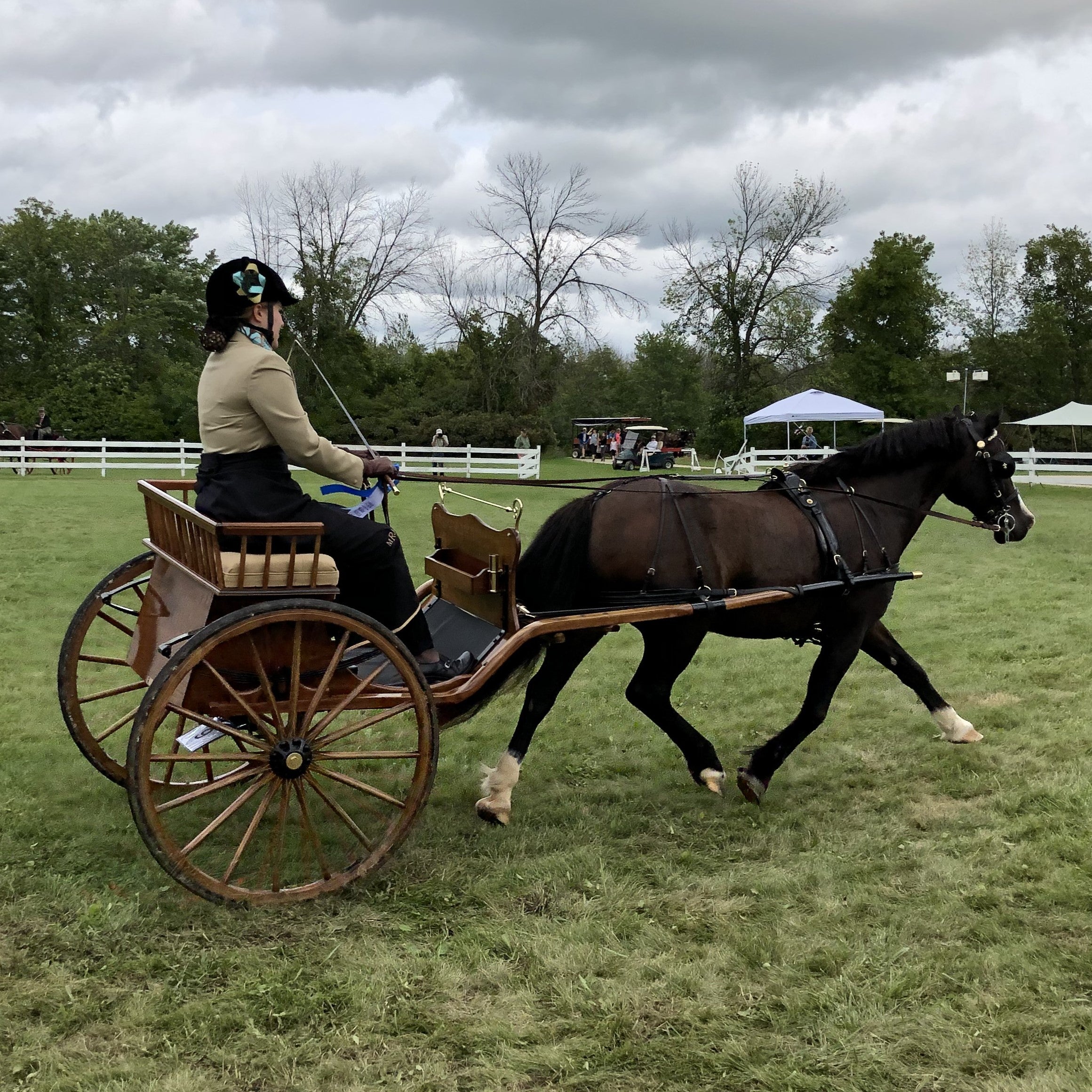 Equestrian Helmet Fascinator | IVC Carriage