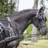 Ideal Luxe single black harness on black horse