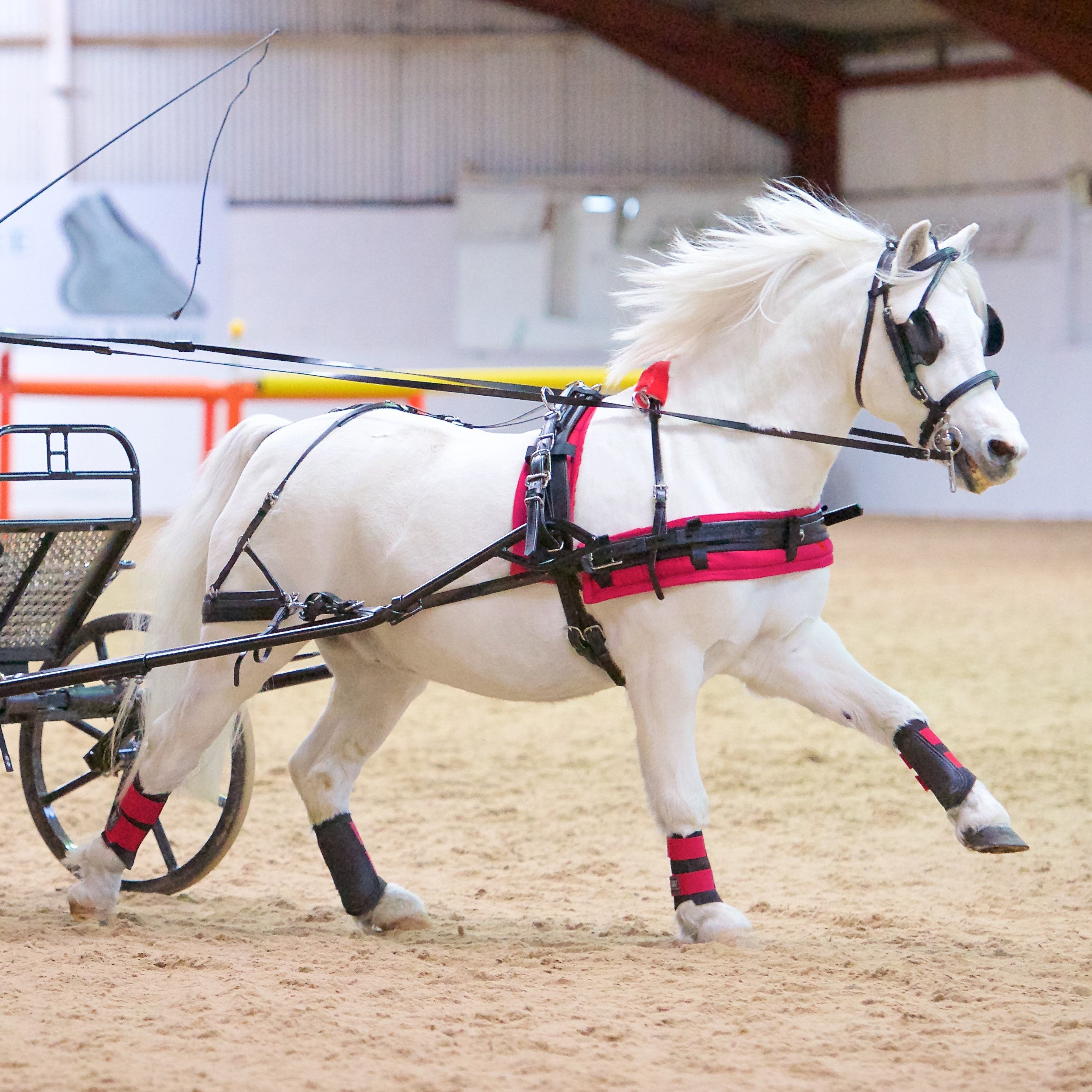 Zilco SL Small Pony Harness