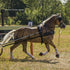 Zilco ZGB Single Horse Harness | IVC Carriage