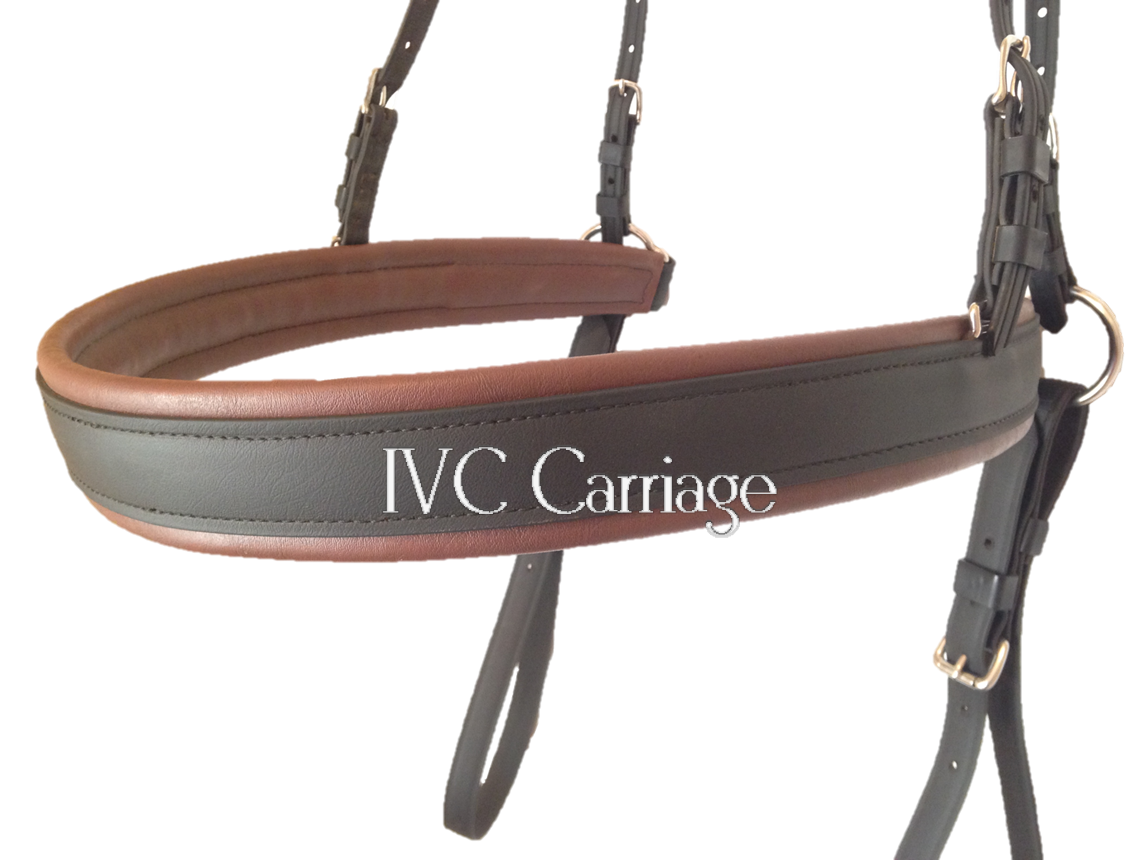 IVC Enhanced BioThane Beta Horse Harness | IVC Carriage